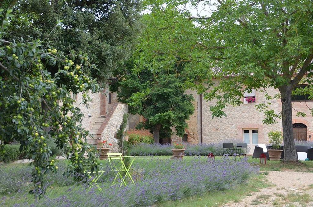 Agriturismo La Segolina Колле-ди-Валь-д'Эльса Экстерьер фото