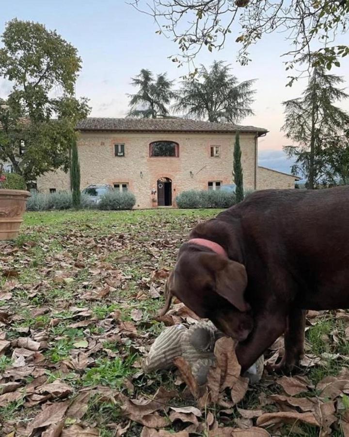 Agriturismo La Segolina Колле-ди-Валь-д'Эльса Экстерьер фото