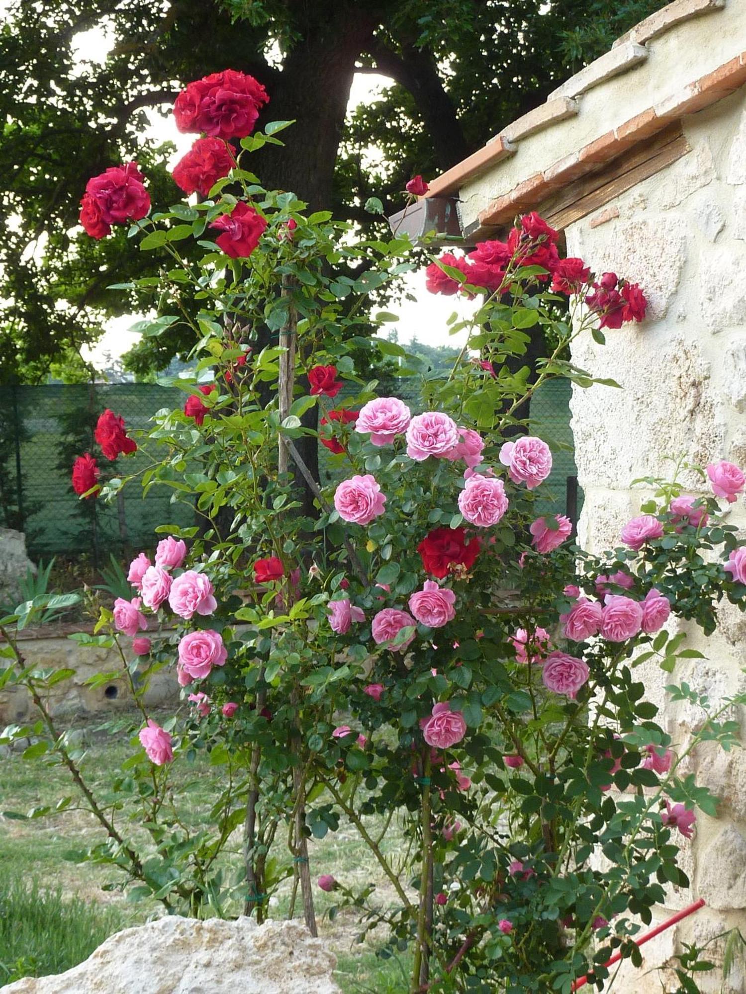 Agriturismo La Segolina Колле-ди-Валь-д'Эльса Экстерьер фото