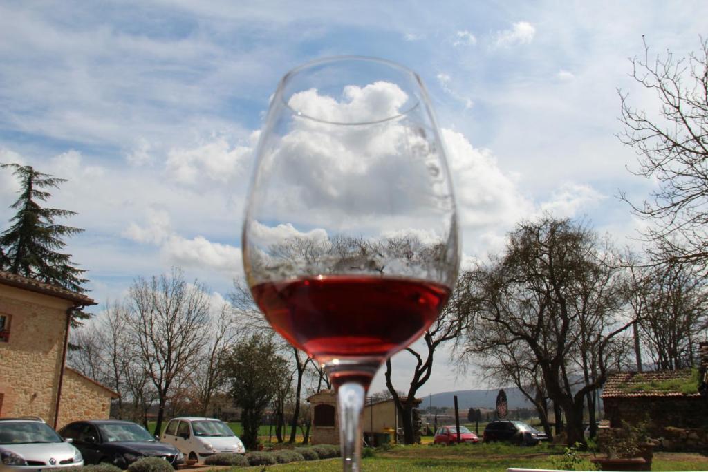 Agriturismo La Segolina Колле-ди-Валь-д'Эльса Экстерьер фото