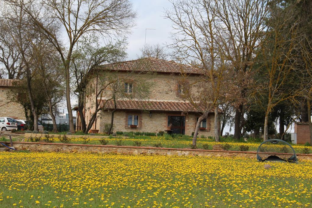 Agriturismo La Segolina Колле-ди-Валь-д'Эльса Экстерьер фото