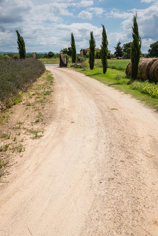 Agriturismo La Segolina Колле-ди-Валь-д'Эльса Экстерьер фото
