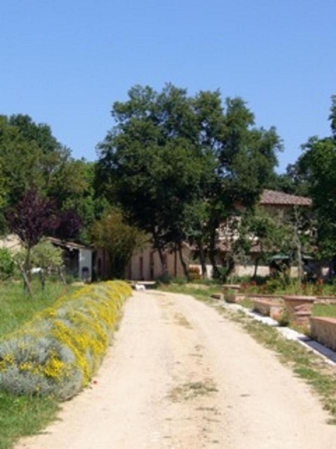 Agriturismo La Segolina Колле-ди-Валь-д'Эльса Экстерьер фото
